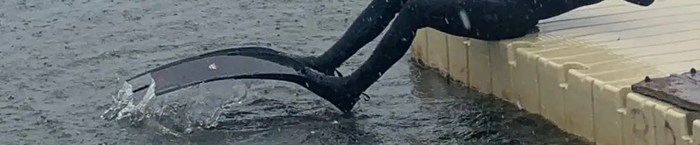 Diving While Snowing