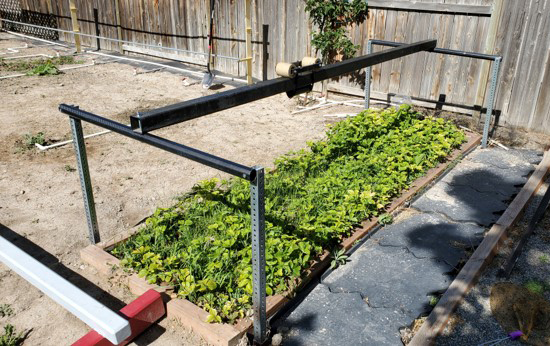 The Problematic Strawberry Patch