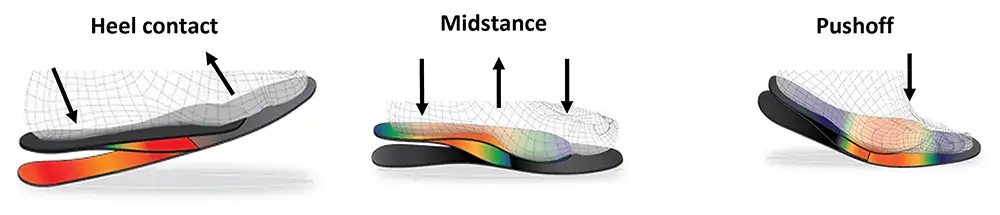 Orthotic Analysis Graphics
